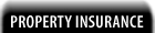 Property insurance